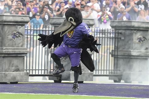 The Unforgettable Moments of the Baltimore Ravens Mascot's Career